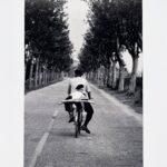 Provence, 1955