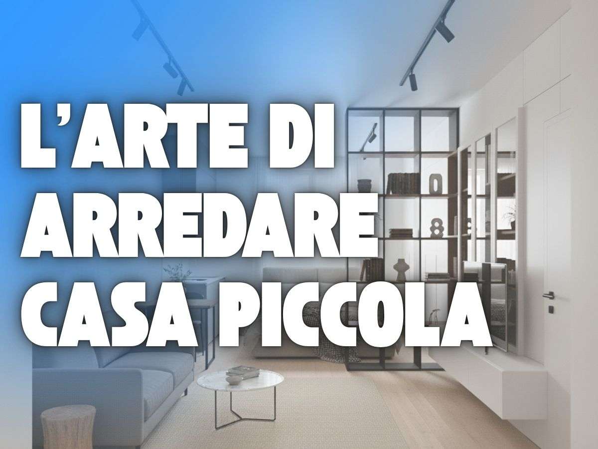 scritta l'arte di arredare casa piccola
