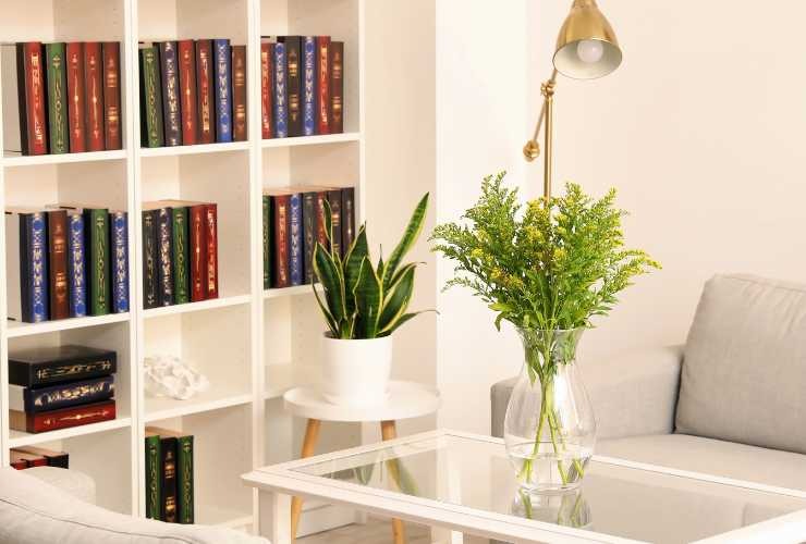 soggiorno con libreria, tavolino e divano