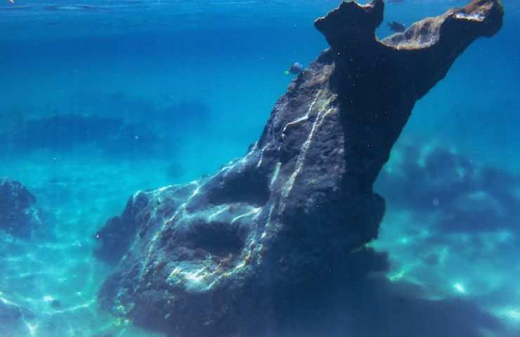ramo sott'acqua