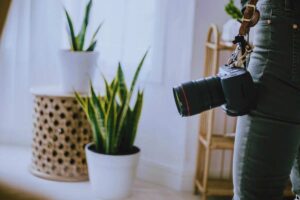 casa con vasi e macchina fotografica