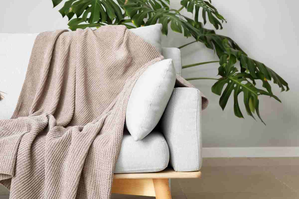 un divano con al di sopra una coperta e una pianta dietro